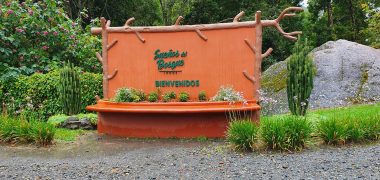 118992550_767812724005656_4893553185927134428_n