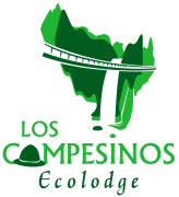 1458593_423370424526603_5898325525504733915_n