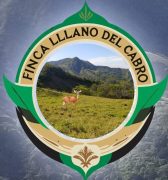 637483140_122167961564715011_6695256361332776555_n