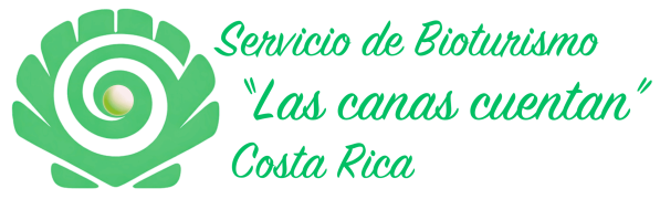 Las-canas-cuentan-tamano-pequeno