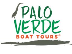 PaloVerdeLogo-01-SMALL-SIZE